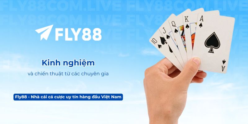 Kinh nghiệm và chiến thuật từ các chuyên gia